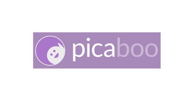 Picaboo is launched as an iOS app