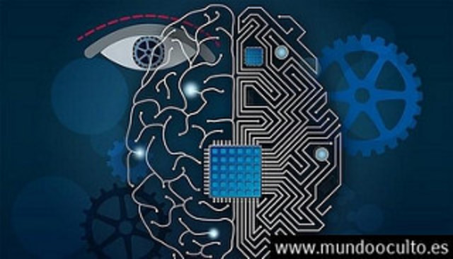 Conductividad de la sinapsis en las Redes Neuronales