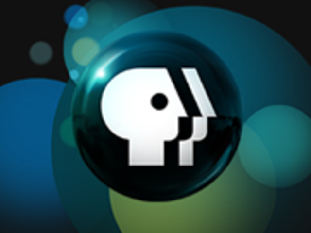 The Public Broadcasting System