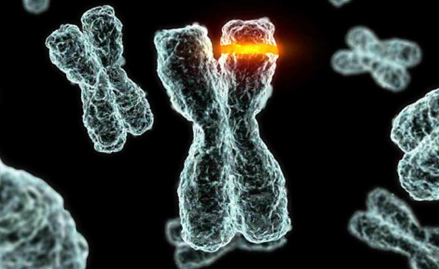 La Evolución de la Genetica