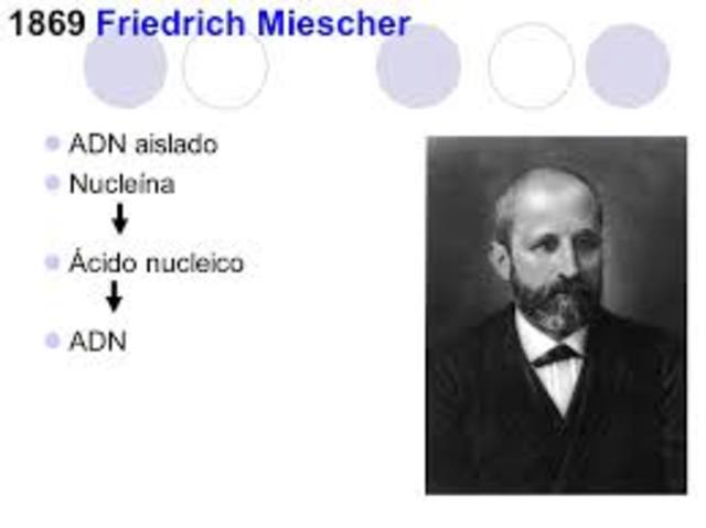 Friedrich Miescher  Descubrimiento de los ácidos nucleicos.
