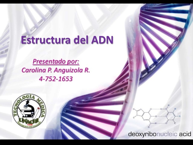 Estructura del ADN