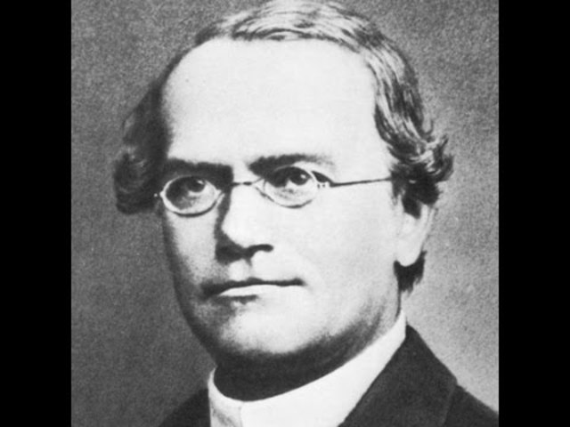 Trabajo de Gregor Mendel