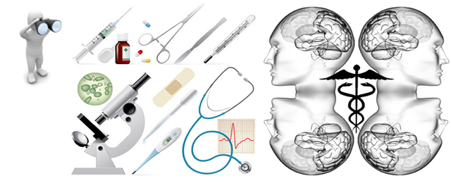 Decreto 4725 de 2005