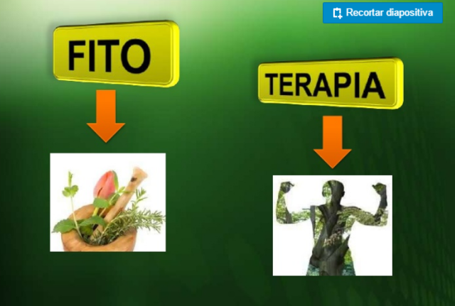 Decreto 2266 de 2004 de julio 15