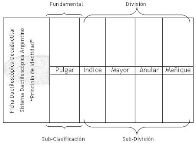 Ficha decadactilar