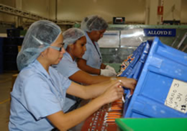 Cámara de Salud de Manchester