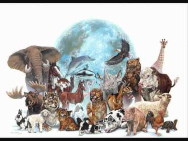 Parlamento Europeo y Consejo de la Directiva