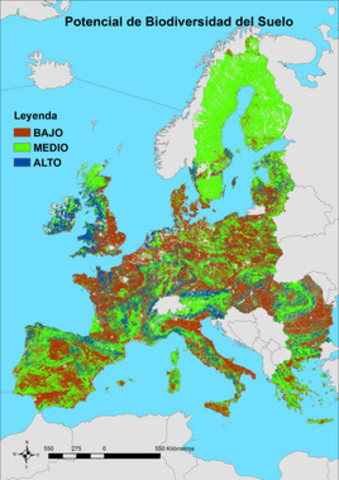 Elaboran el primer mapa digital europeo sobre la biodiversidad del suelo