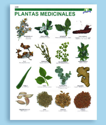 RESOLUCION NUMERO 2834 DE 2008 (Julio 30)