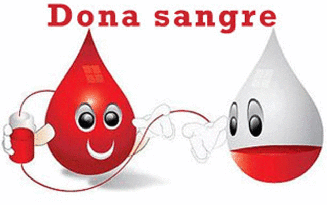 RESOLUCION 003355 DE 2009 ARTICULO 2 DECRETO LEY 205 DE 2003