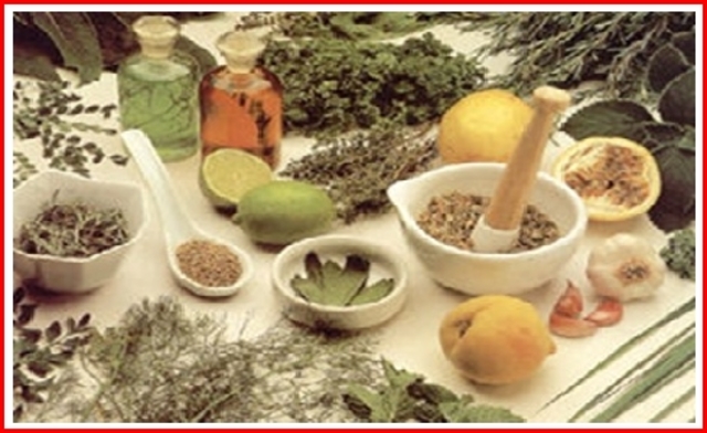 Resolución 9455   de 2004