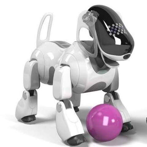 AIBO