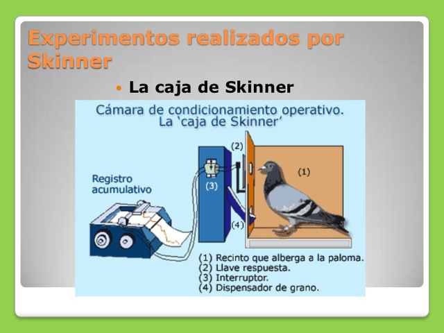 Skinner. Condicionamiento Operante