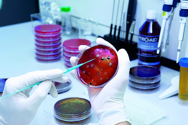 Resolución No. 826, 19 de Mayo 2003