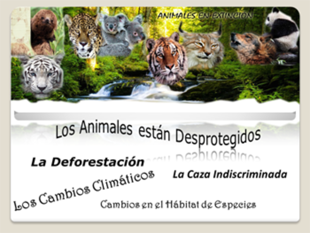 COMO SALVAR LOS ANIMALES EN PELIGRO