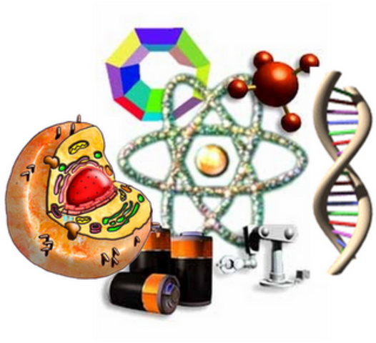 Desarrollo Enfermeria