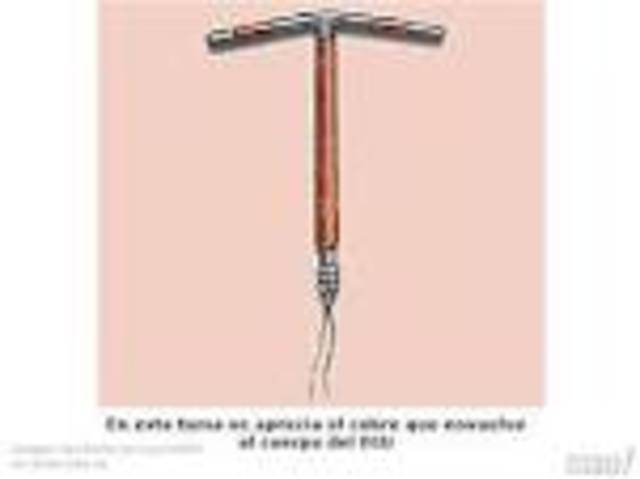 Resolución 4002 de 2007