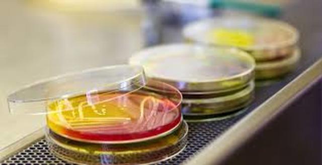 Decreto 2200 de 2005, Articulo 15.