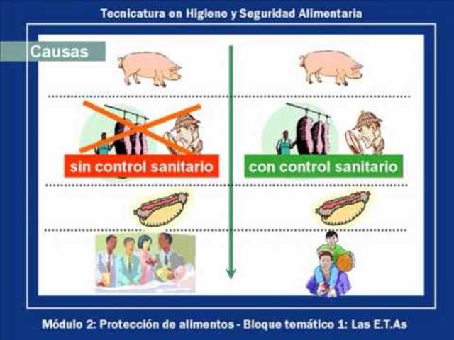 Línea de tiempo marco legal Farmacovigilancia y Tecnovigilancia.