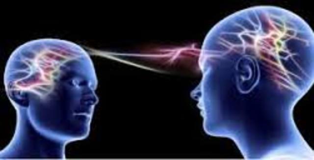 La teoría - Teoria Wellman y Gelman