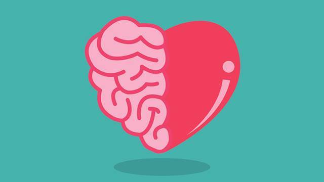 brain v's heart debate