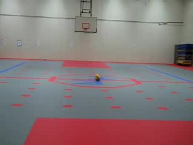 FOURTH: Hungry, Hungry, Athletes: Shooting Activity