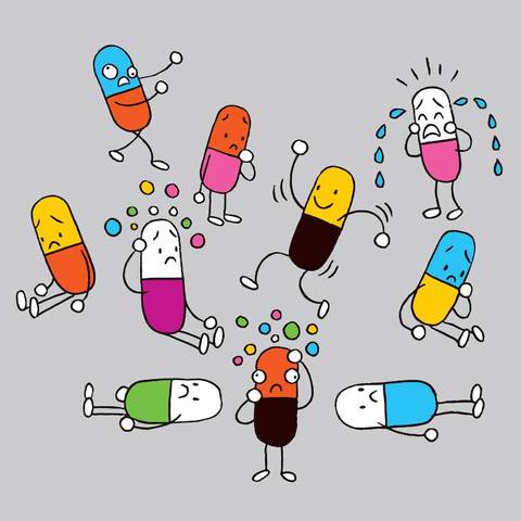 Decreto 1290 De 1994, articulo 4.