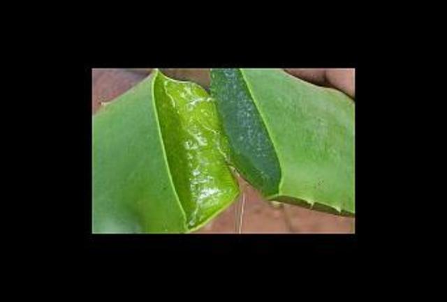 RESOLUCION 9455 DE 2004