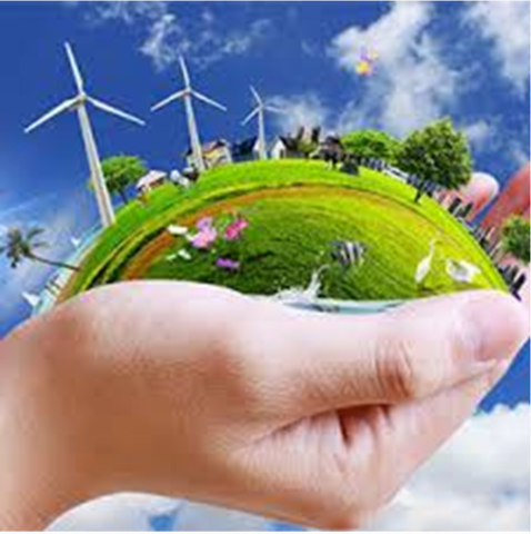 Ittelson y Proshansky