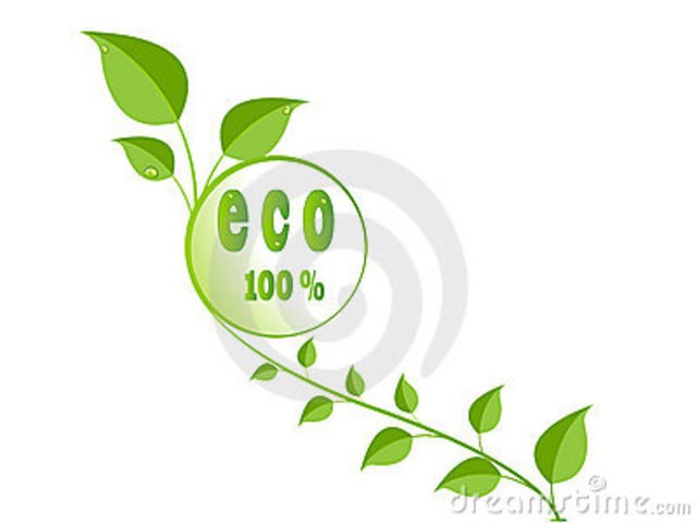 Resolucion 9455 del 2004