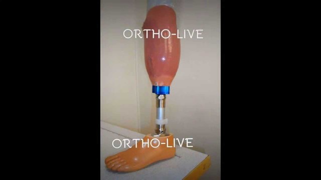 Resolución 1319 del 2010