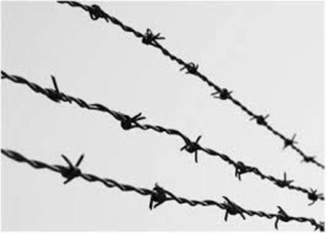 Barbed Wire
