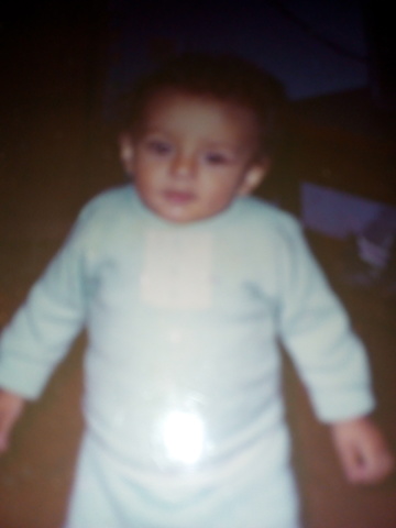 Mi primer año