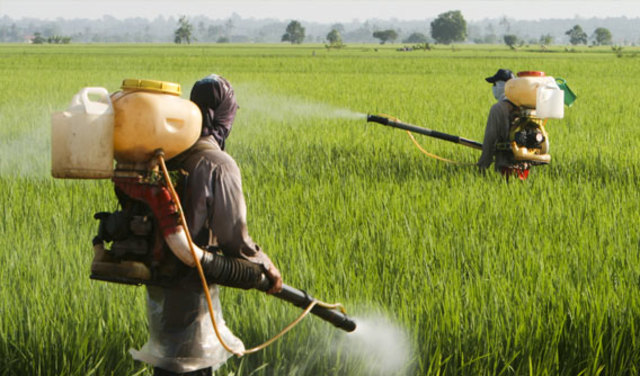 Decreto 1843 de 1991