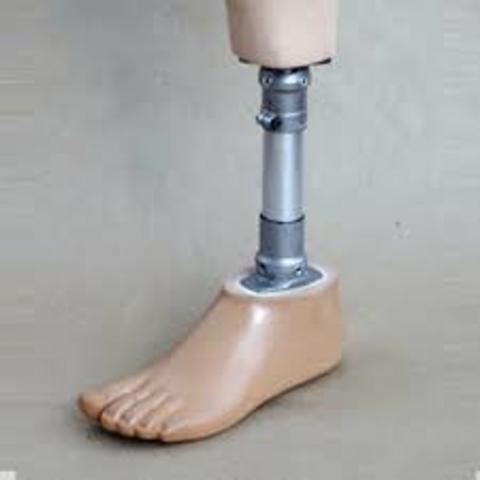 Resolución 1319 de 2010