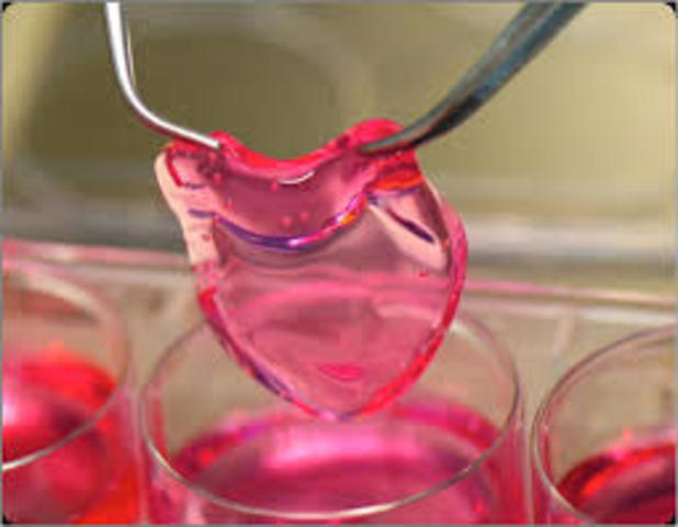 RESOLUCION 434 DEL 2001