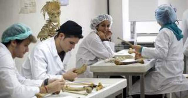 DECRETO 4725 DE 2005