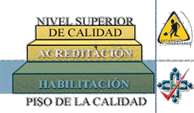 Decreto 1011 de 2006