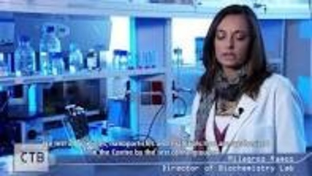 RESOLUCIÓN 529 DE 2 DE MARZO DE 2004