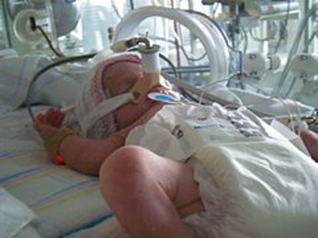 ELEMENTOS QUIRURGICOS