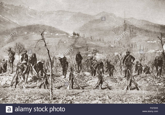 Reinforcements sent to Italy