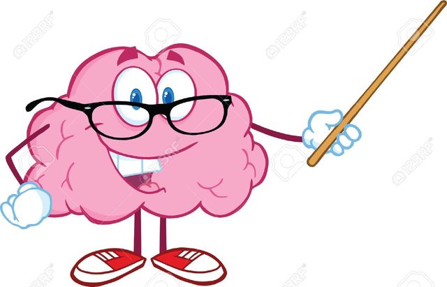 3er semestre Universidad