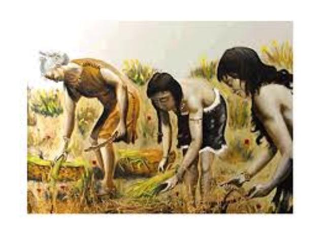 NACIMIENTO DE LA AGRICULTURA