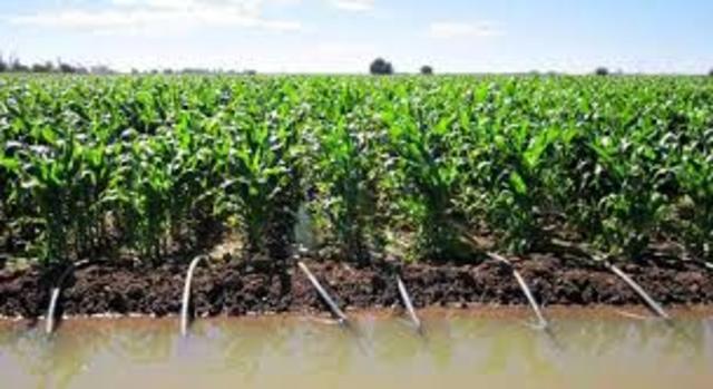 SISTEMA DE RIESGO PARA LA AGRICULTURA