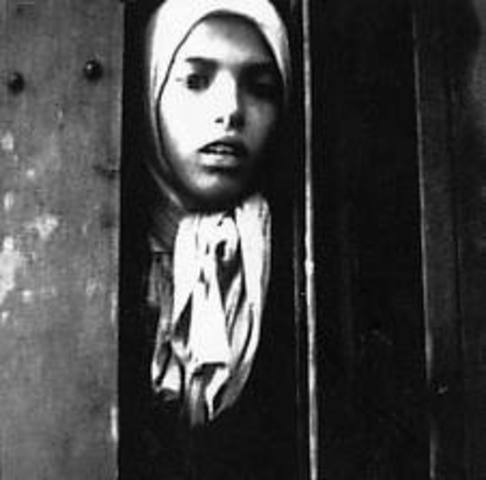Romani people arrested and sent to extermination camps.