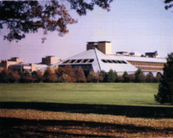 Bell Laboratories