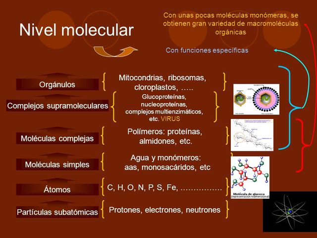 El acceso al nivel molecular