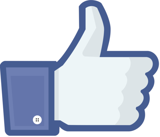 Facebook Activates The Facebook Like Button