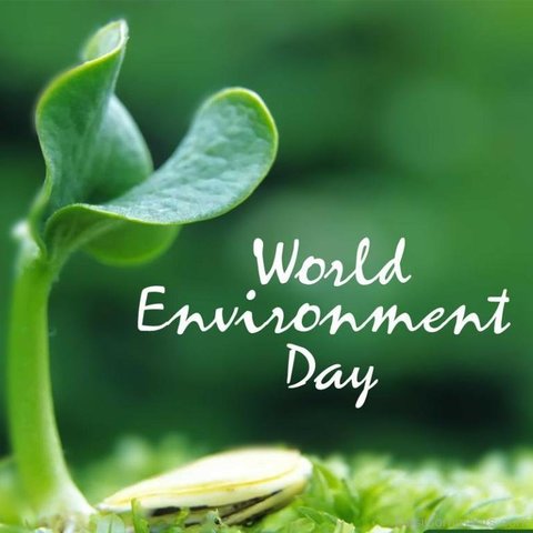 World Environment Day